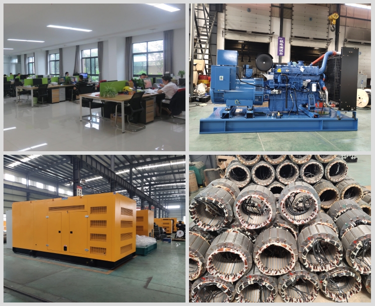 200kW Chinese factory diesel generator sets with soundproof canopy 250kVA electric generator set supplier - Silent diesel generator - 5