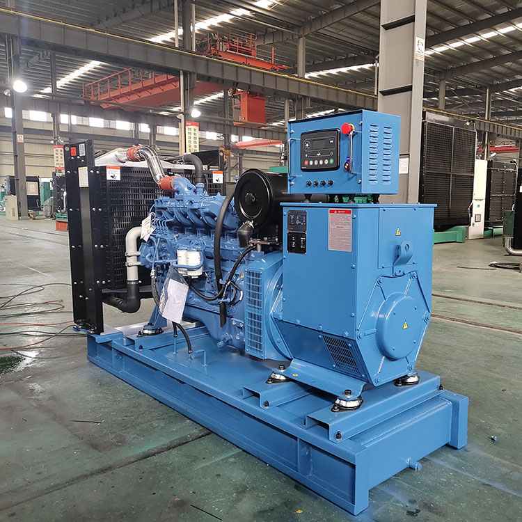 200kW Chinese factory diesel generator sets with soundproof canopy 250kVA electric generator set supplier